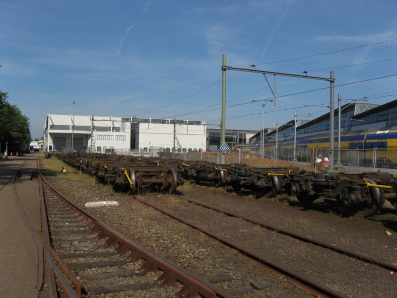 draaistellenophetterreinvannedtrain.jpg