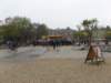 bijeenkomstophetmuseumplein_small.jpg