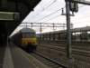 detreinnaarrotterdam_small.jpg