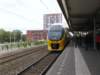 devirmnaardordrecht_small.jpg