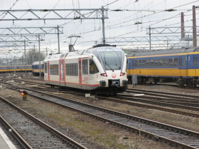 deegtwvanveoliavertekt.jpg