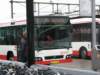 eenbusvanverre_small.jpg