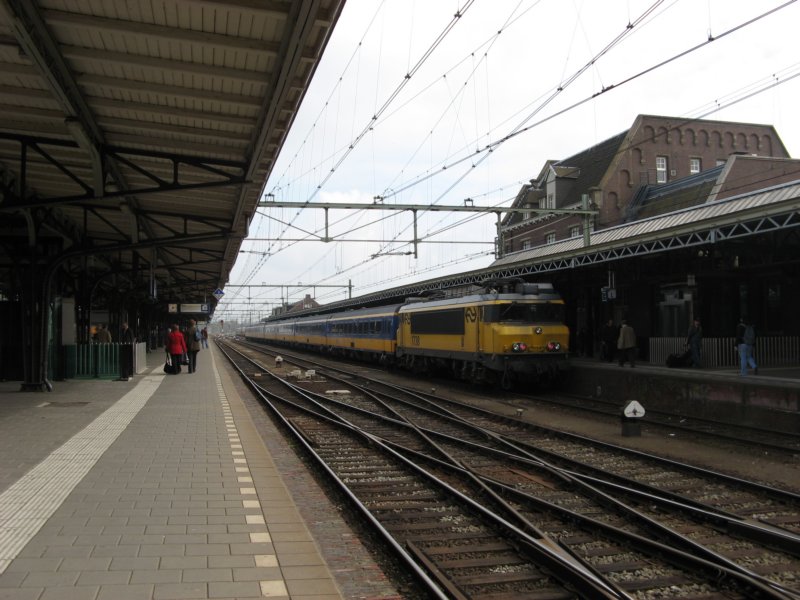 eenicrstamteroosendaal.jpg