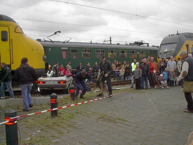gevaarlijkehond.jpg