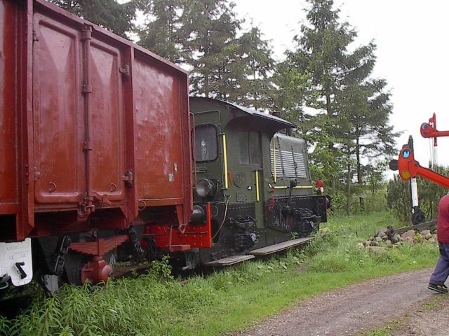 sik354indetuin.jpg