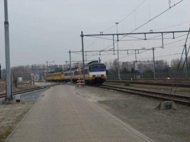 eenvlaflip2.jpg