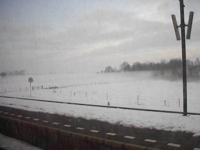 drivinginawinterwonderland.jpg