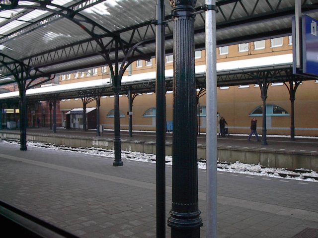 eenfotovaneenpaalindewinter.jpg