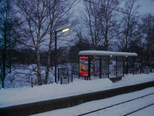 sneewpretindewinter.jpg