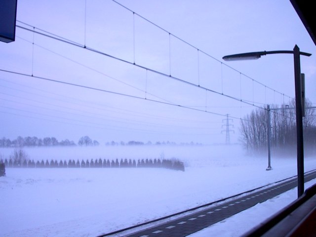 woowlaaghangendemistensneeuw.jpg
